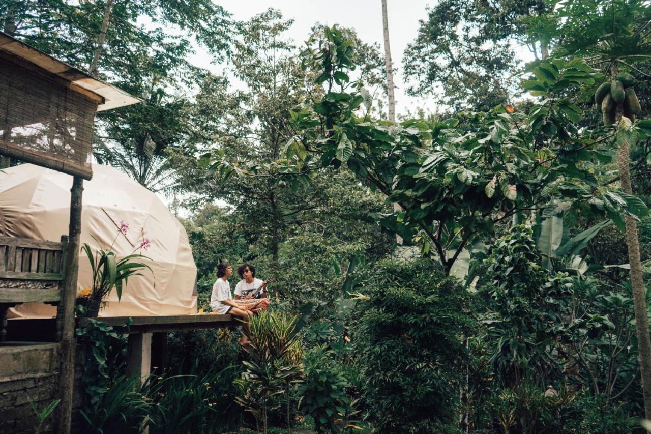 Bali Jungle Camping By Amerta Experience Tabanan  Exterior photo