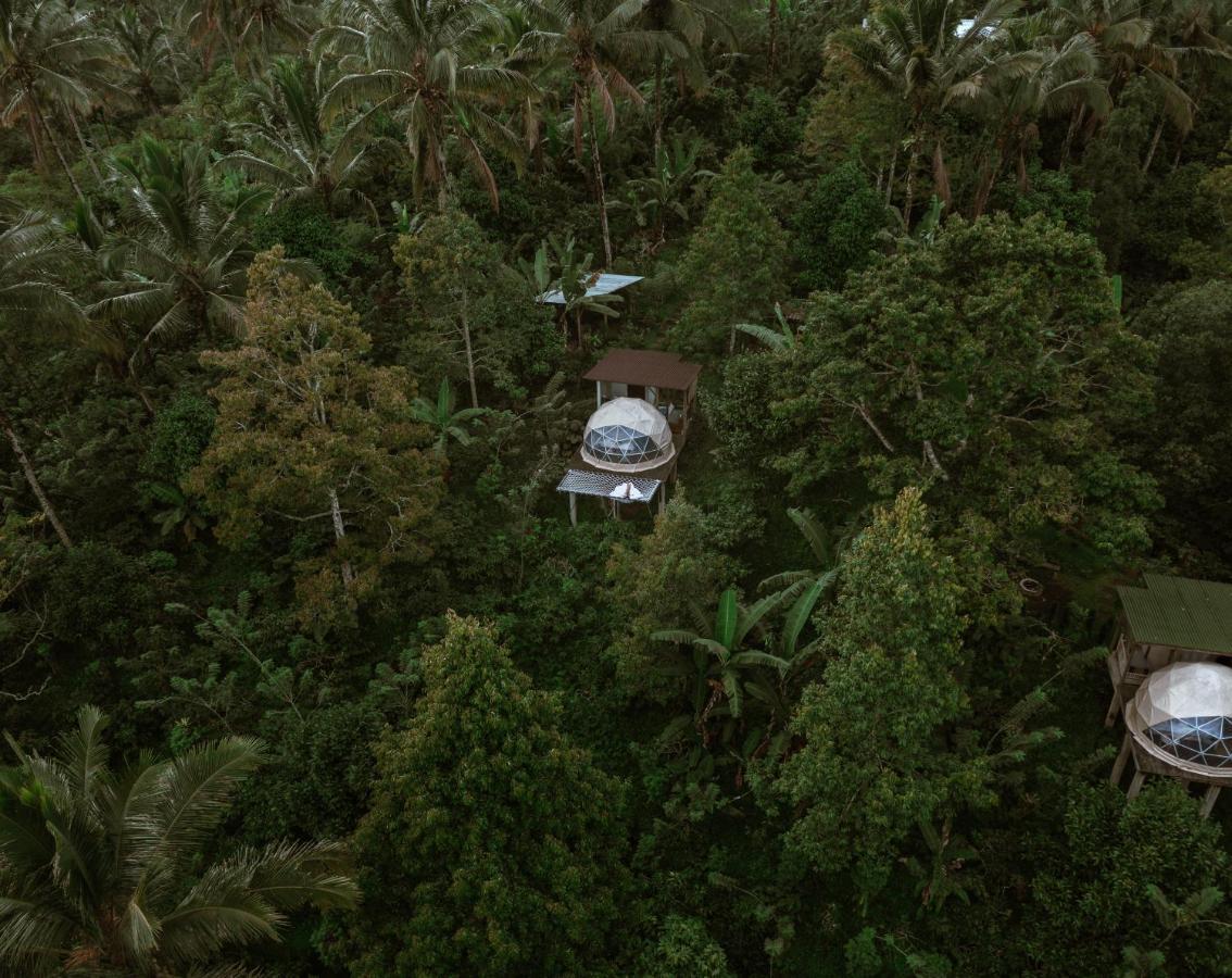 Bali Jungle Camping By Amerta Experience Tabanan  Exterior photo