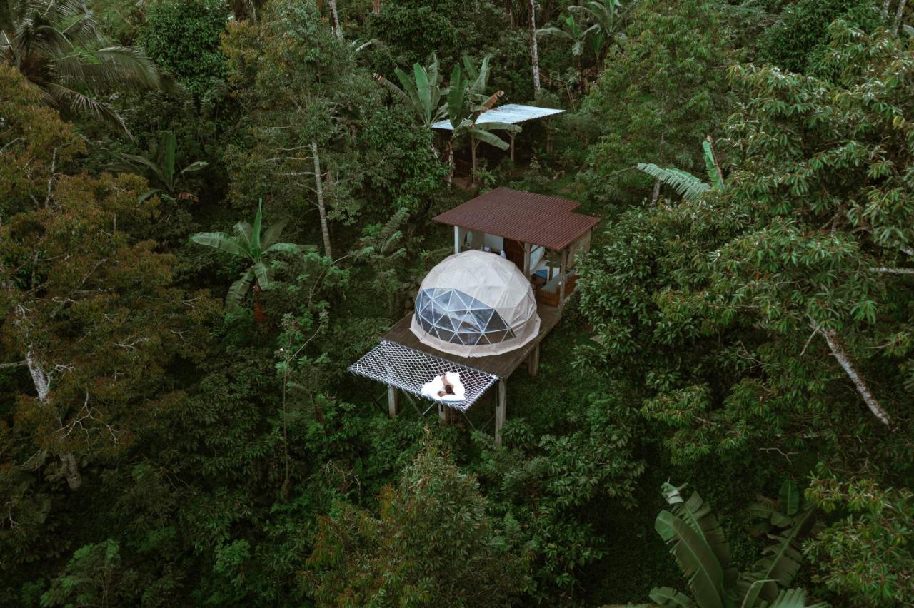 Bali Jungle Camping By Amerta Experience Tabanan  Exterior photo
